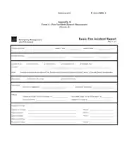 Basic Fire Incident Report Template