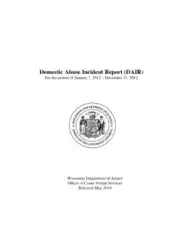 Domestic Abuse Incident Report Template