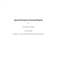Editable Private Company Audit Report Template