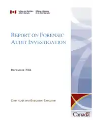 Free Download PDF Books, Report on Forensic Audit Investigation Template