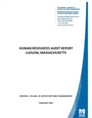HR Operations and Practices Audit Report Template