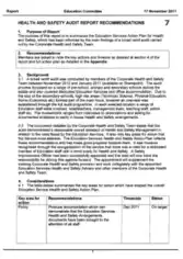 Health and Safety Audit Report Template