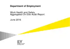 Work Health and Safety Aggregated on site Audit Report Template