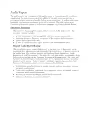 Audit Report Format Template