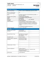 Example of Audit Report Template