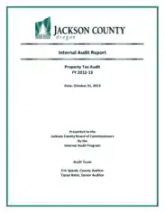Free Download PDF Books, Internal Property Tax Audit Report Template