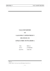 Business Valuation Project Report Template