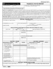 Financial Status Report Example Template