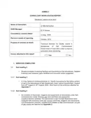 Consultant Work Status Report Sample Template
