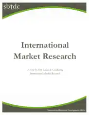 International Market Research Report Template