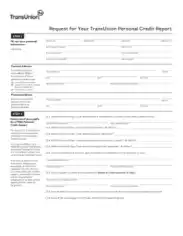General Credit Report Template