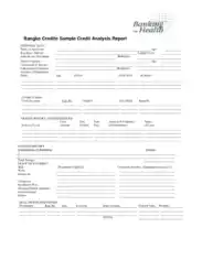Sample Credit Analysis Report Format Template