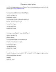 Free Download PDF Books, TEM Expense Report Backup Template