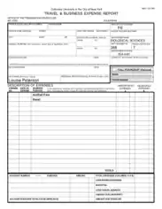 Free Download PDF Books, Travel Business Expense Report Form Template