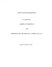Free Download PDF Books, Hospital Asset Purchase Agreement Template