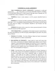 Commercial Lease Agreement Example Template