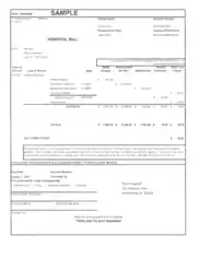 Free Download PDF Books, Statement For Hospital Billing Template