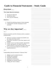 Guide to Financial Statement Study Guide Template