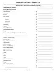 Monthly Self Employment or Business Income Template