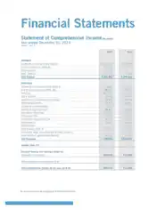 Financial Statement of Comprehensive Template