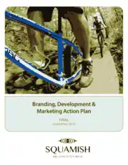 Simple Development and Marketing Action Plan Example Template
