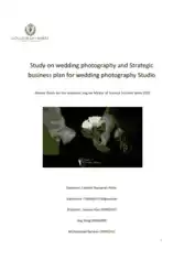 Sample Wedding Photography Business Plan Template
