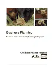 Small Scale Business Plan Template