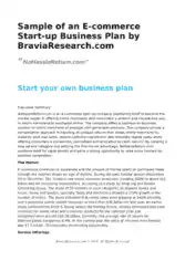 Startup Ecommerce Business Plan Template