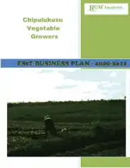Vegetable Farm Business Plan Template