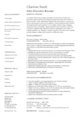 Sales Executive Resume Example Template