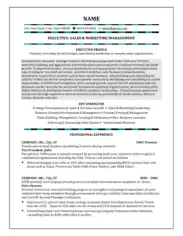 Sales and Marketing Management Resume Template