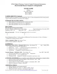 Professional Business Resume Example Template