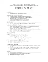 Product Manager Resume Editable Template