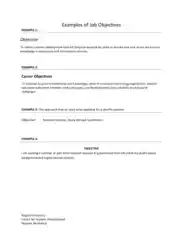 General Job Resume Objective Template