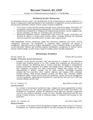 Security Professional Resume Template