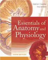 Free Download PDF Books, Essentials of Anatomy and Physiology Free PDF Book