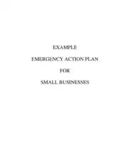 Emergency Action Plan for Small Business Free Template