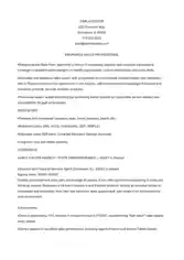 Insurance Sales Experience Resume Template