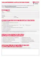 Charity Volunteer Application Form Example Template