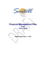 Financial Management Plan Template
