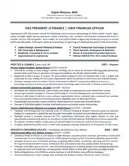 Vice President of Finance Chief Financial Officer Template