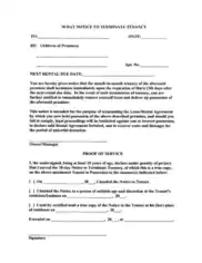 Tenancy Termination Letter with 30 Day Notice Template