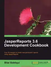Free Download PDF Books, JasperReports 3.6 Development Cookbook – PDF Books