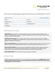 Employee Performance Evaluation Template