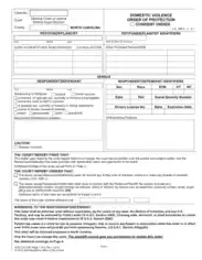 Domestic Violence Order of Protection Consent Order Template