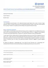 Vehicle Travel Consent Form Template