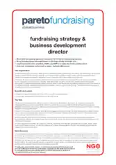 Charity Fundraising Strategy Development Template