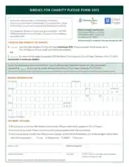 Charity Pledge Form Example Template