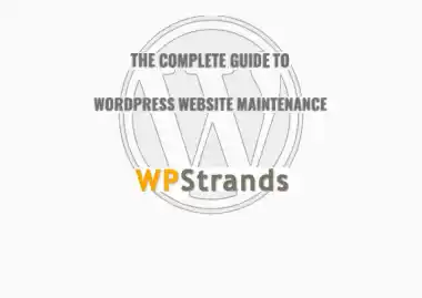 Complete WordPress Website Maintenance