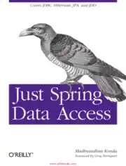 Just Spring Data Access – FreePdfBook